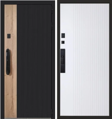 Дверь Конструктор с биометрическим замком Smart lock DZ 888